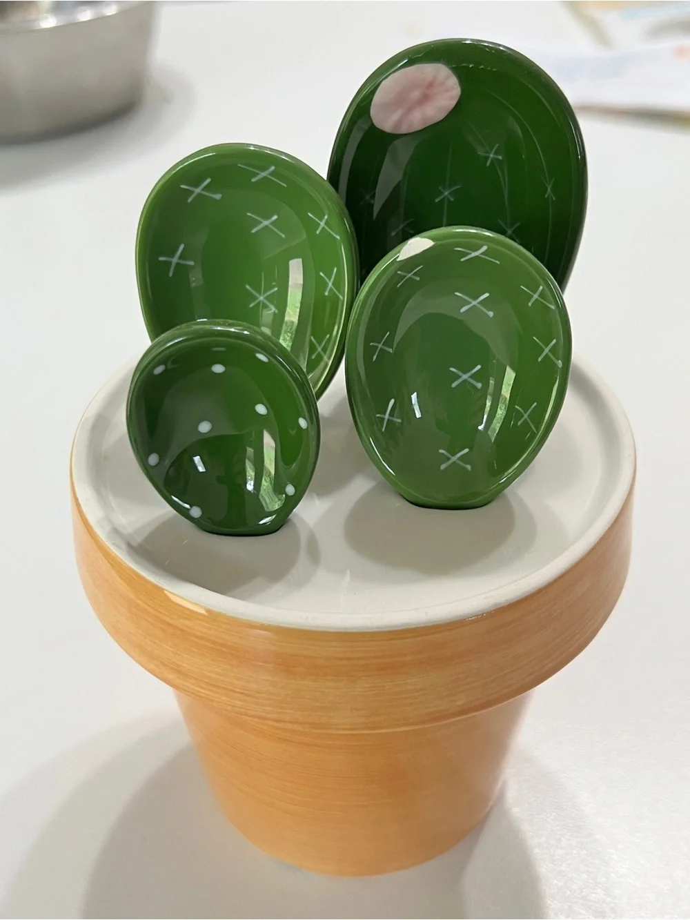 Cactus Flower Pot Measuring Spoon Set